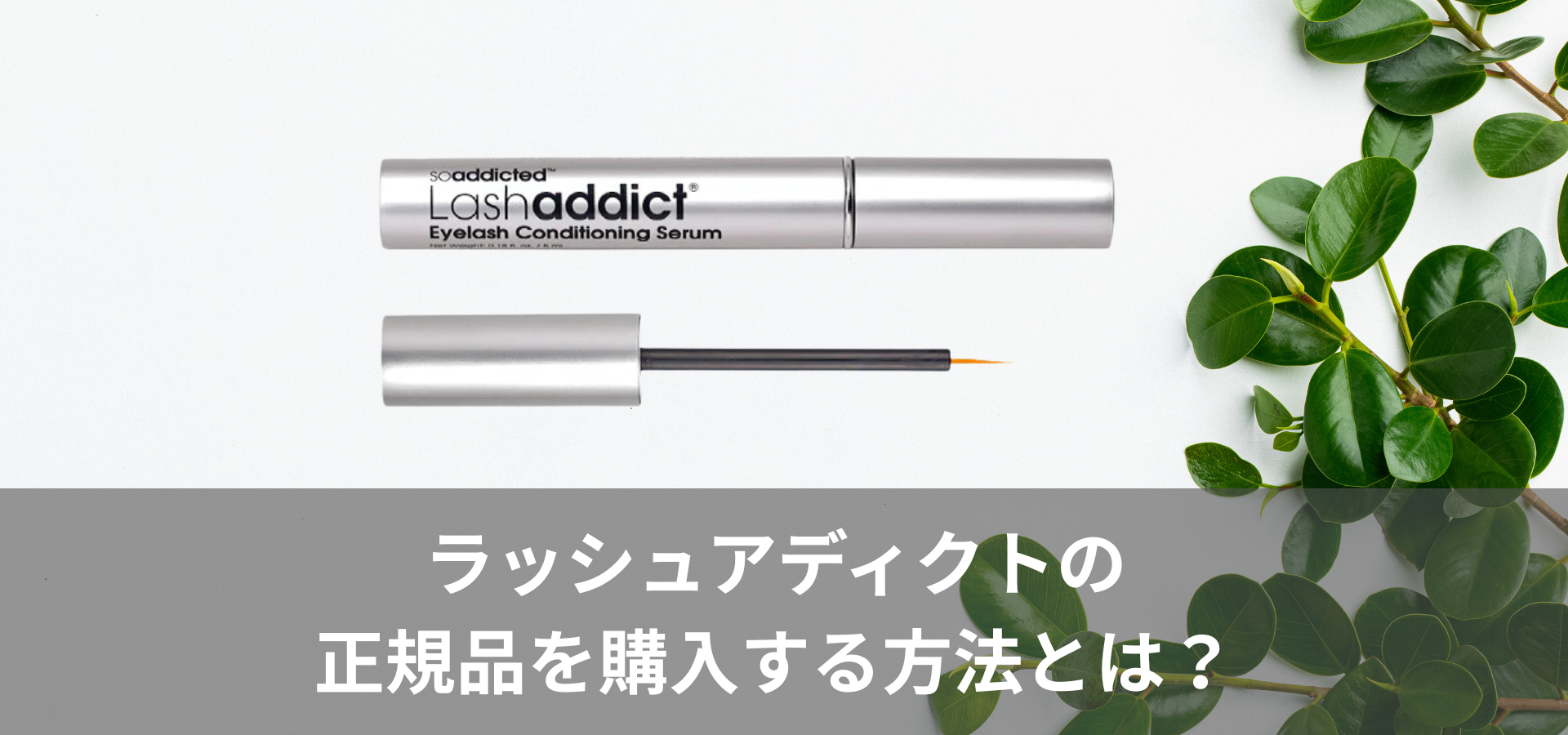 ラッシュアディクトの正規品を購入する方法とは