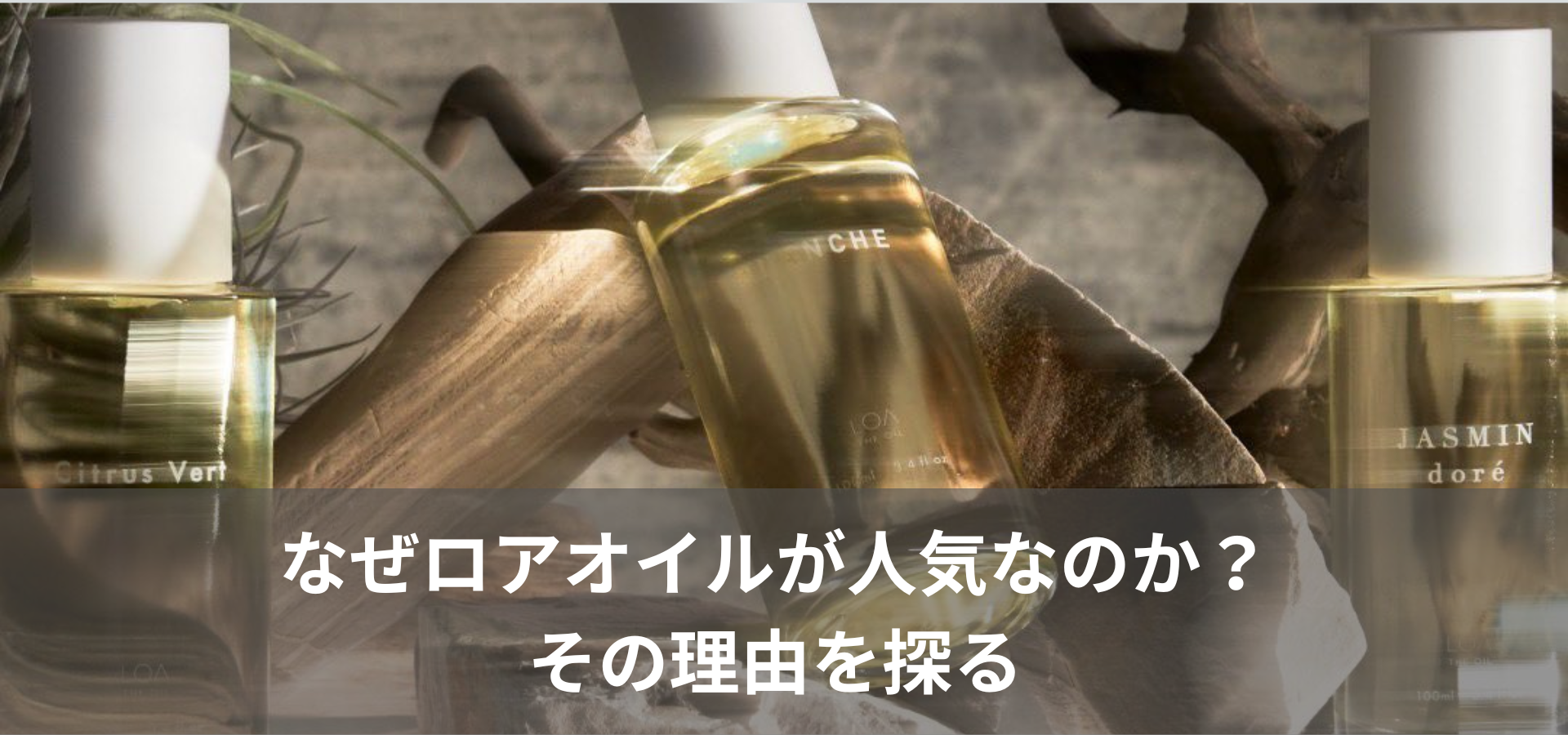 なぜロアオイルが人気なのか?その理由を探る