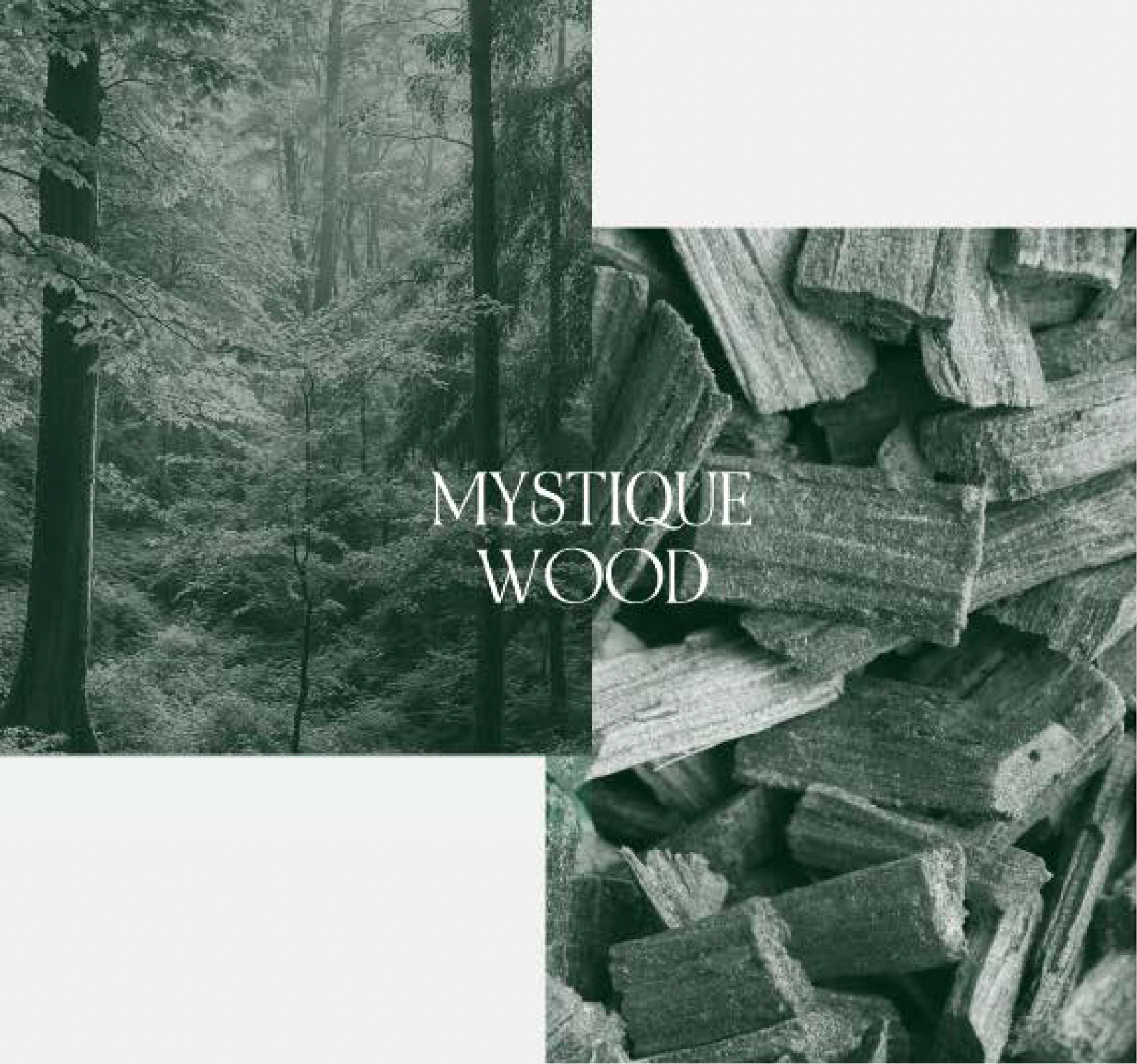 LOA MYSTIQUE WOOD | ミスティックウッド