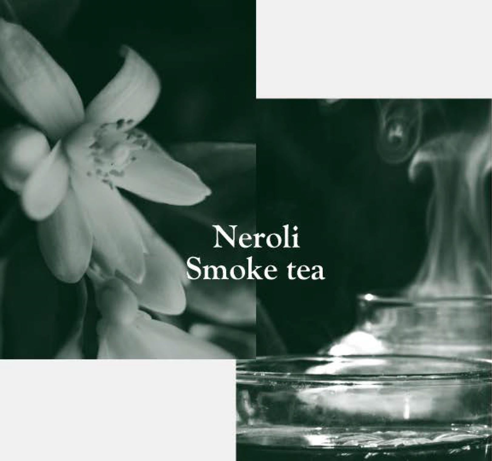 LOA Neroli Smoke tea | ネロリスモークティー