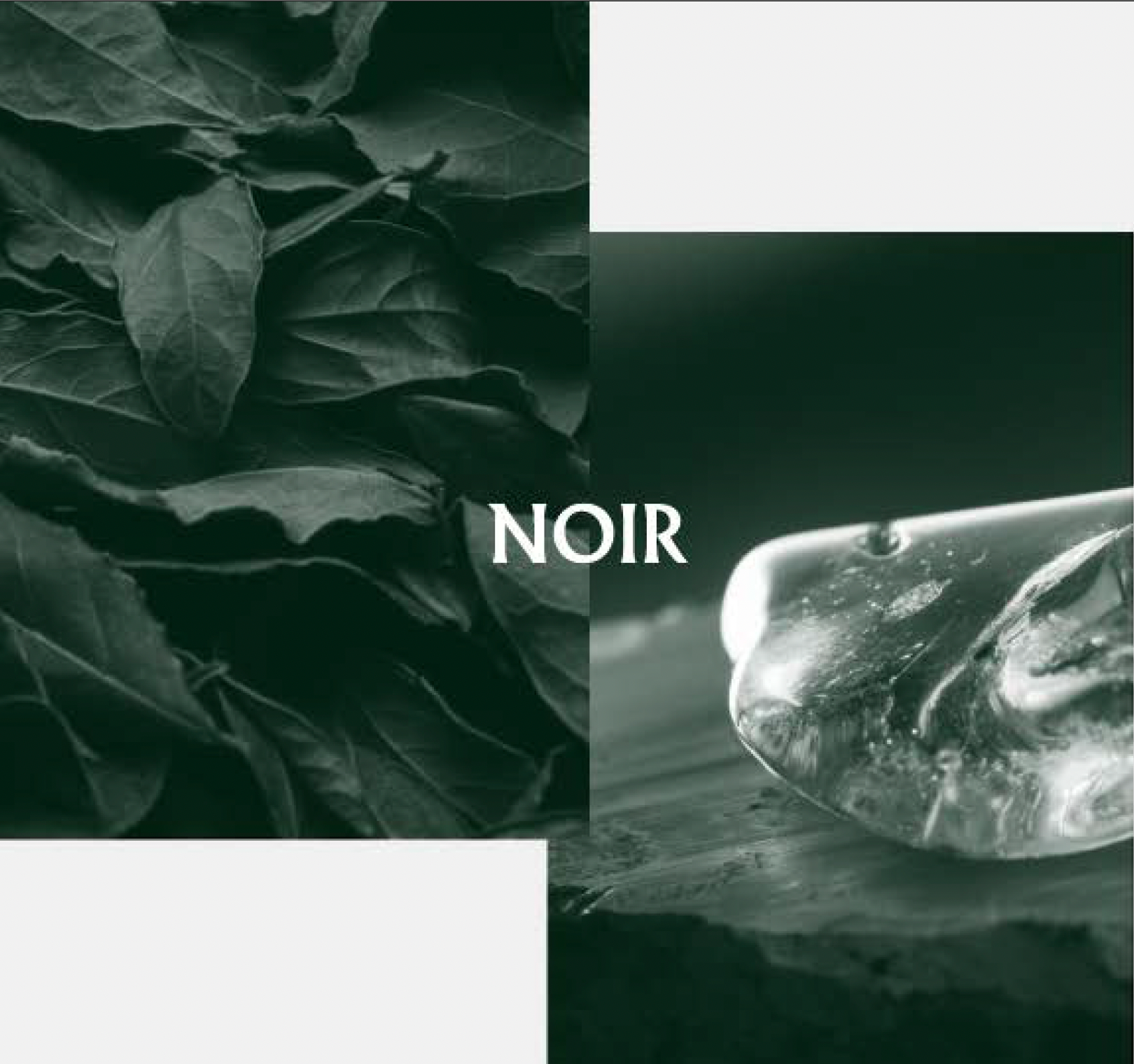 LOA NOIR | ノワール