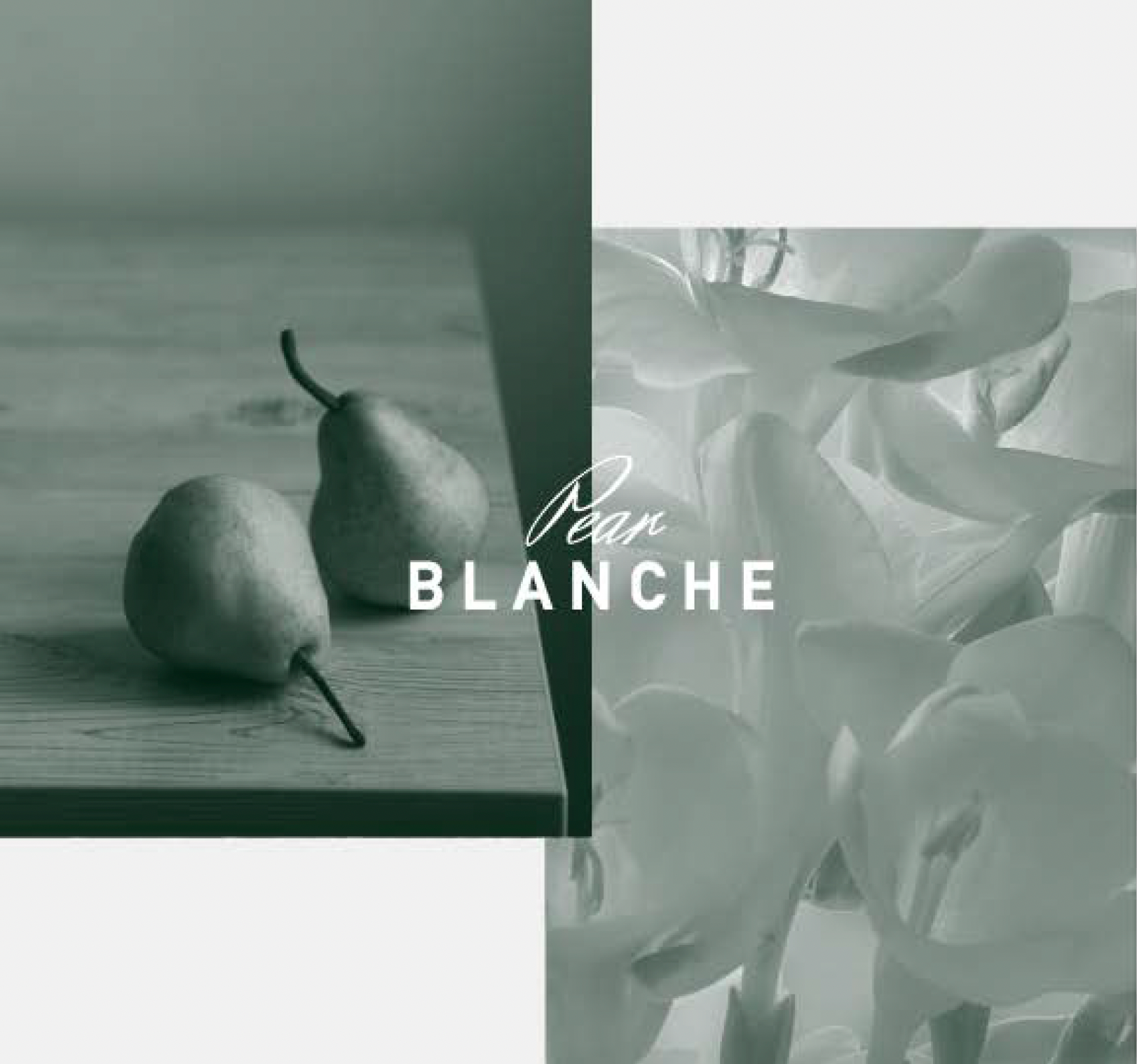 LOA pair BLANCHE | ペアブランシュ