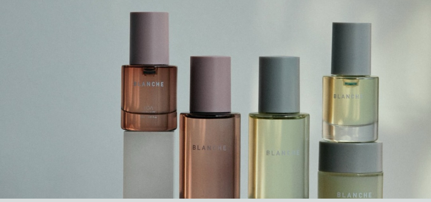 E-STANDARD HAIR OIL 50ml 2本セット E Standard イイスタンダード正規販売ストア イイスタンダード