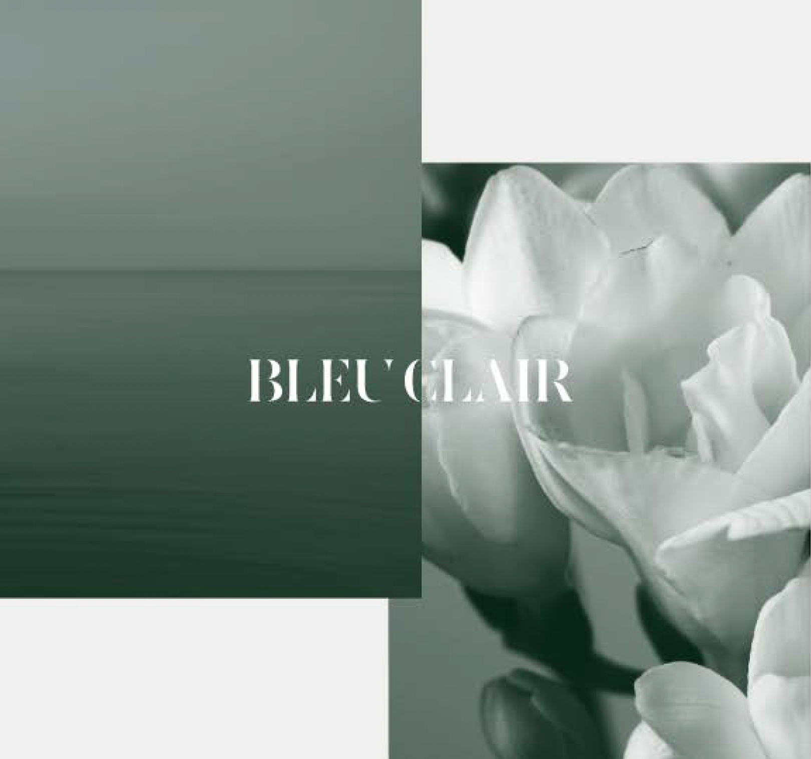 LOA BLEU CLAIR | ブルークレール