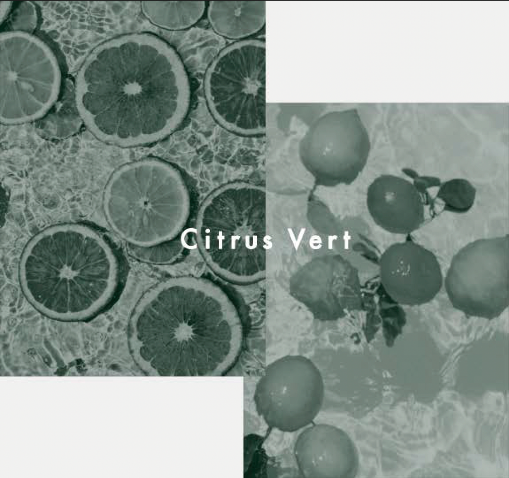 LOA Citrus Vert | シトラスベール