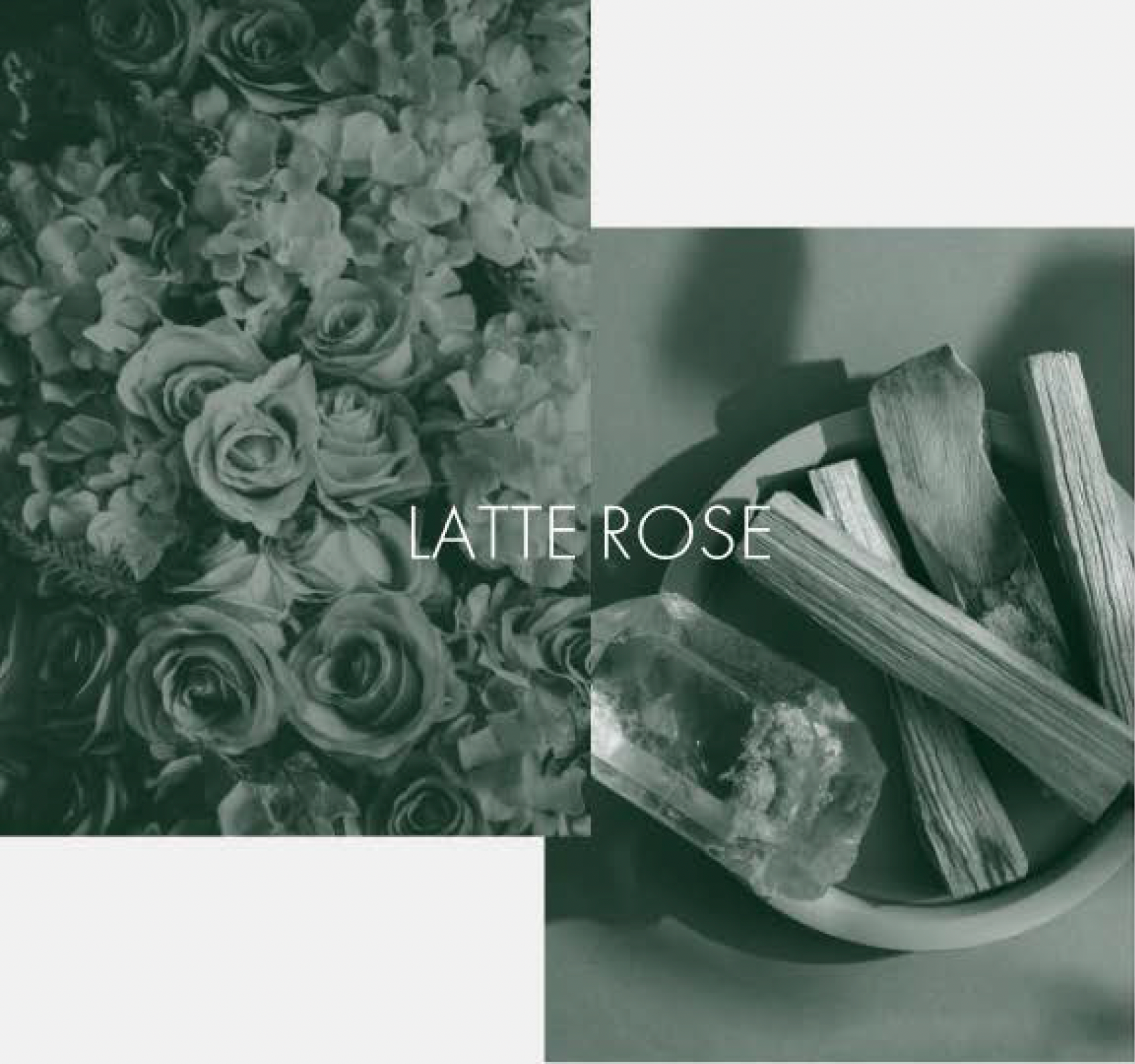 LOA LATTE ROSE | ラテローズ