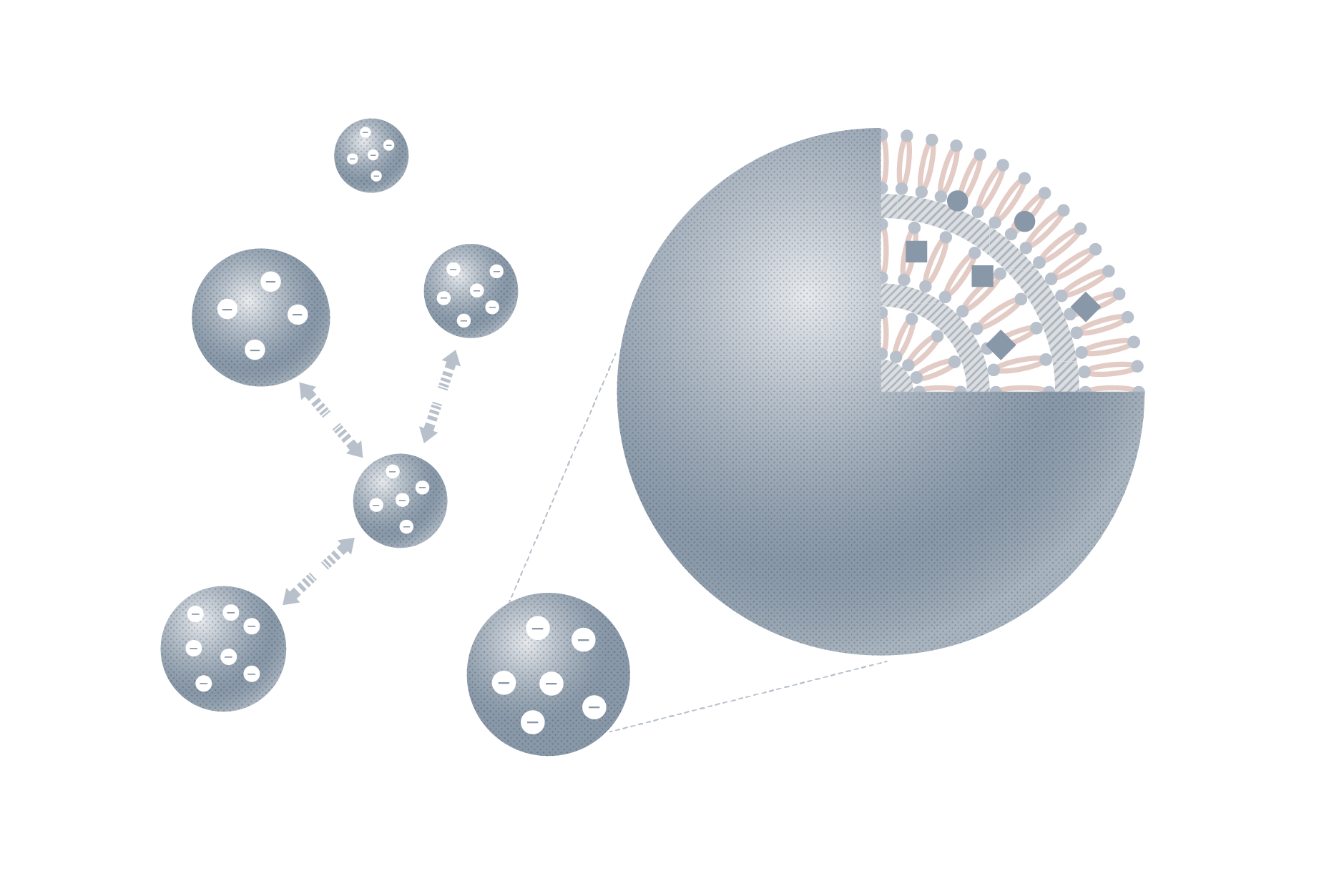 Aetās エタス The Lotion 200mL