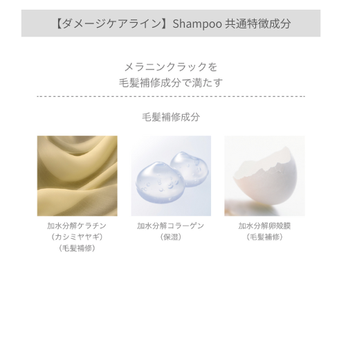 正規販売ストア FLOWDIA フローディア シャンプー スリーク