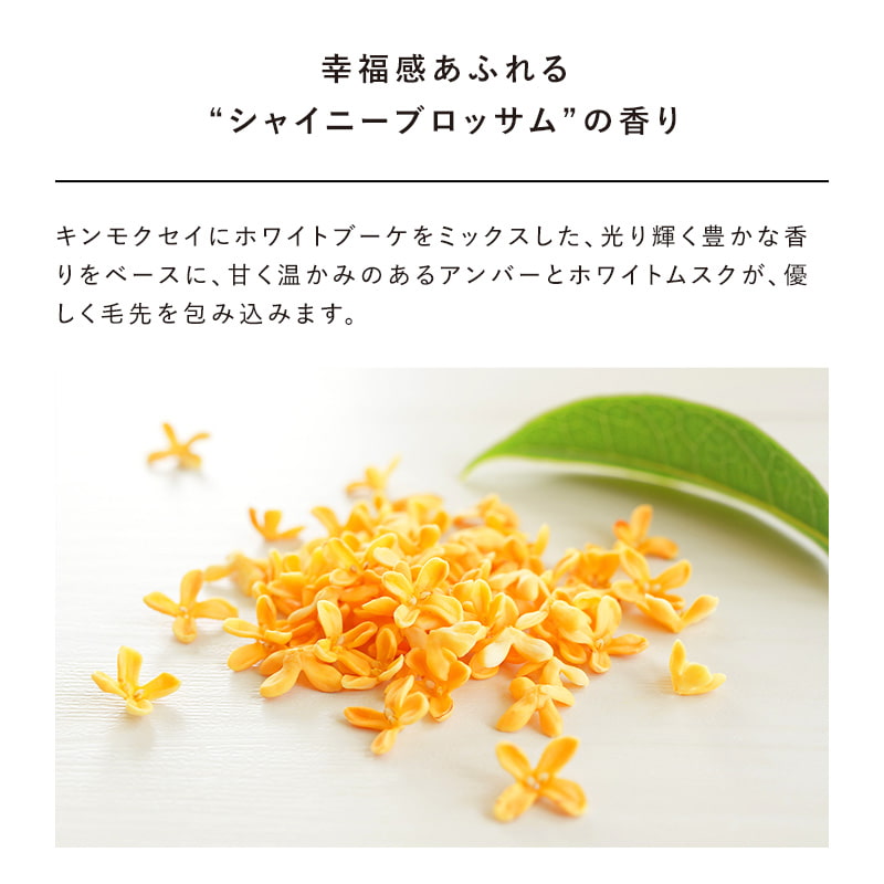 リファハートミストグロウ