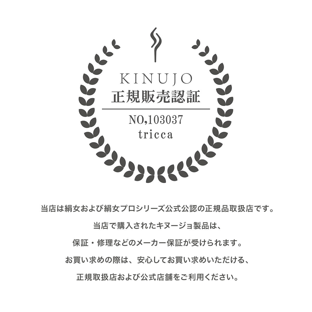 KINUJO キヌージョ プロ ストレートアイロン