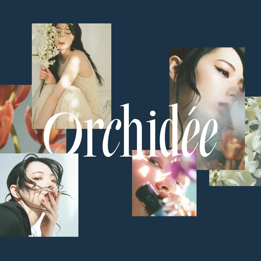 Maison Orchidée メゾンオルキデ