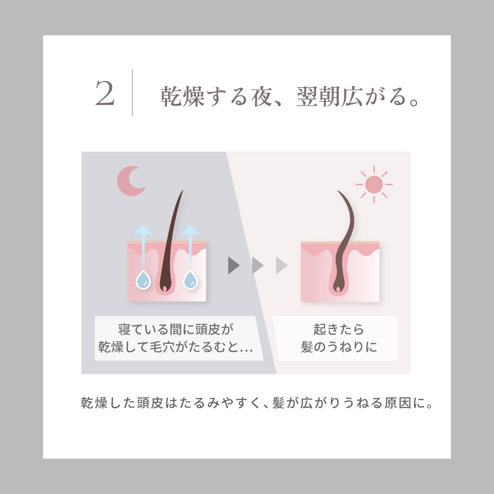 KINUJO キヌージョ シルクリッチ ピローケース