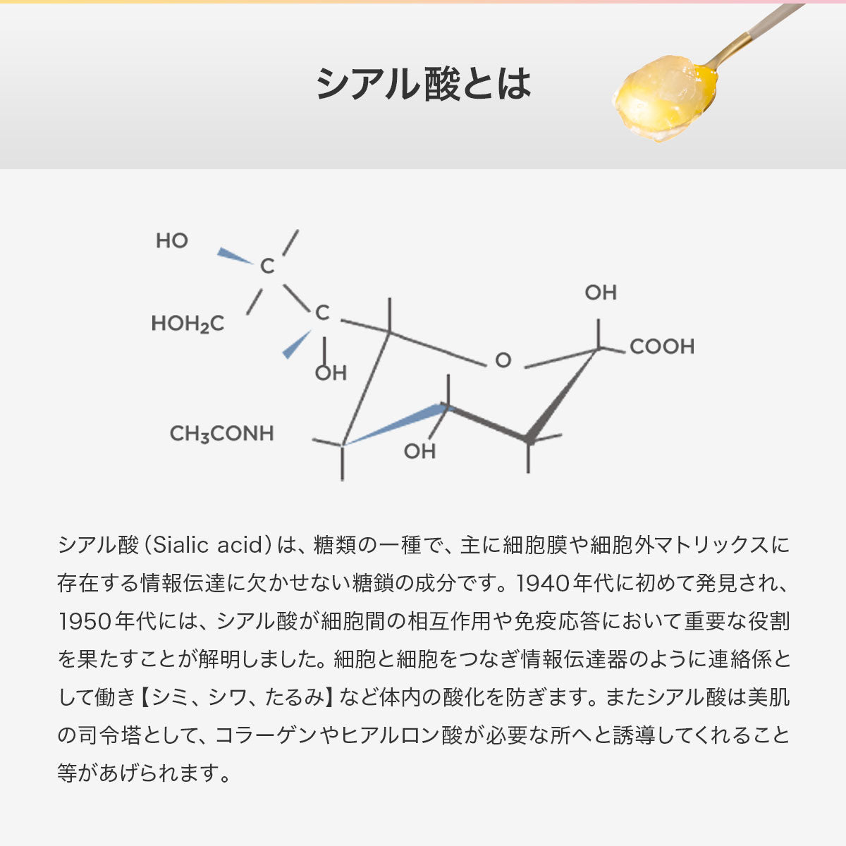 Re:me リミー TSUBAMEシリーズ アナツバメの巣 サプリメントゼリー