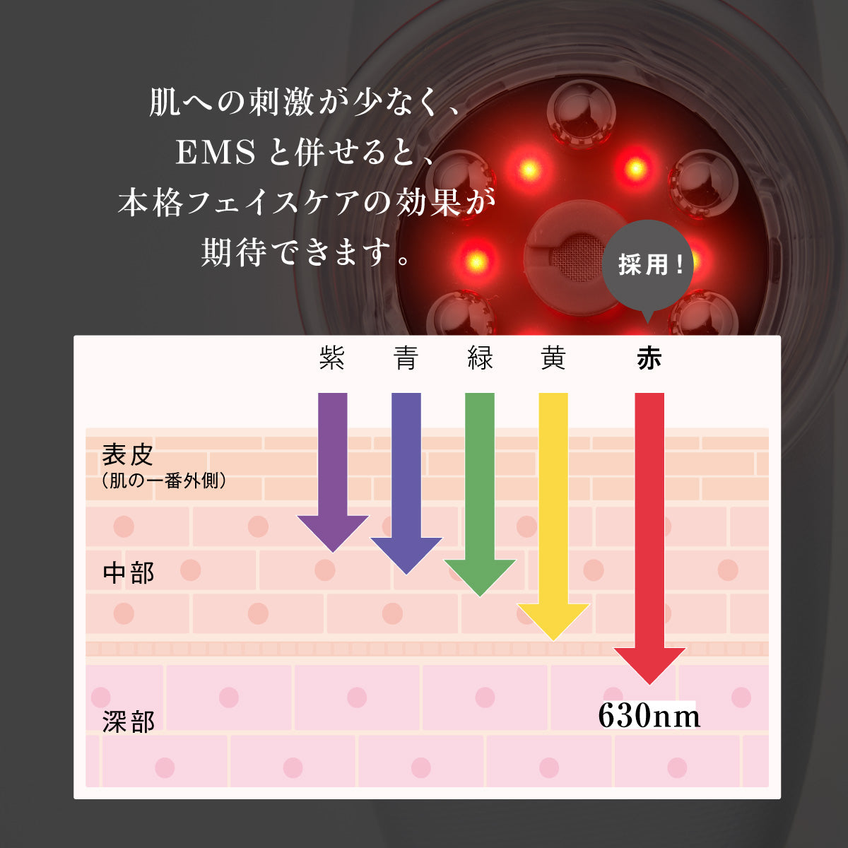 WAVEWAVE ウェイブウェイブ EMS スリム エステ