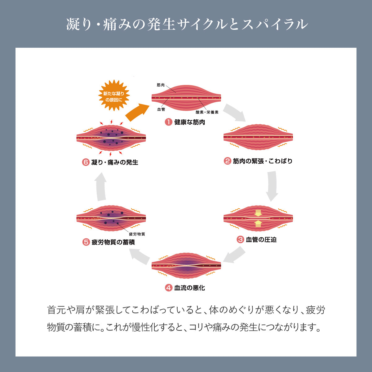 WAVEWAVE ウェイブウェイブ 筋膜リリースガン Little